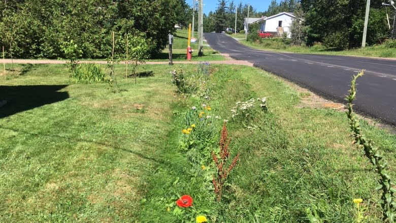 Sackville may tackle residents' tall grass with existing bylaws