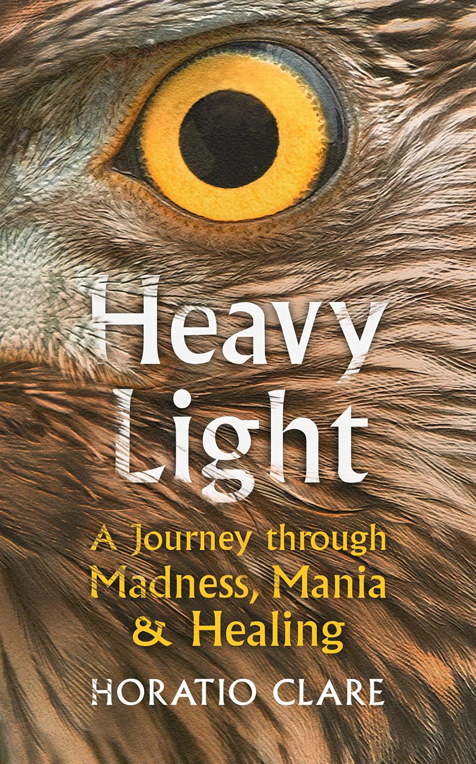 Heavy Light by Horatio ClareChatto