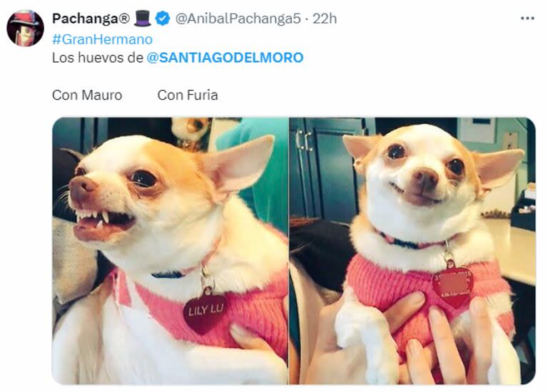 Los memes en contra de Santiago del Moro estallaron en X (Foto: captura X)