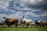 <p>Participants wearing traditional Bavarian lederhosen arrive for competing in the 2016 Muensing Oxen Race (Muensinger Ochsenrennen) on August 28, 2016 in Muensing, Germany. (Photo: Matej Divizna/Getty Images)</p>