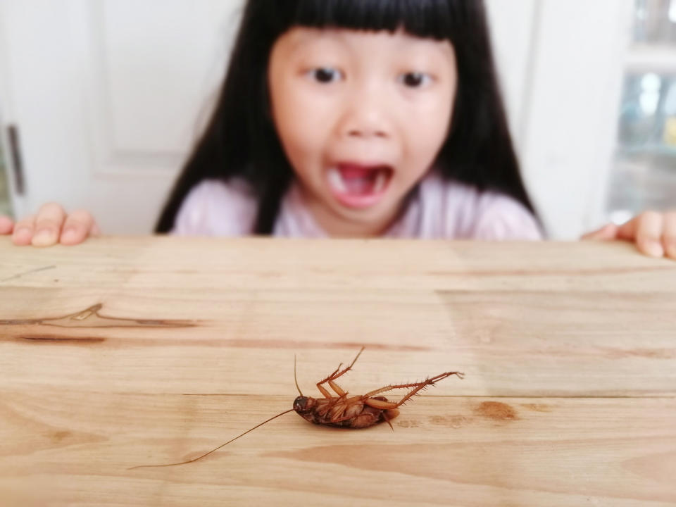 A little girl screams at a dead cockroach.