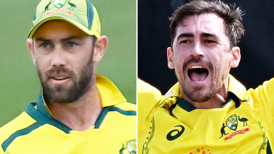 Glenn Maxwell and Mitchell Starc, pictured here in the second ODI against Zimbabwe.