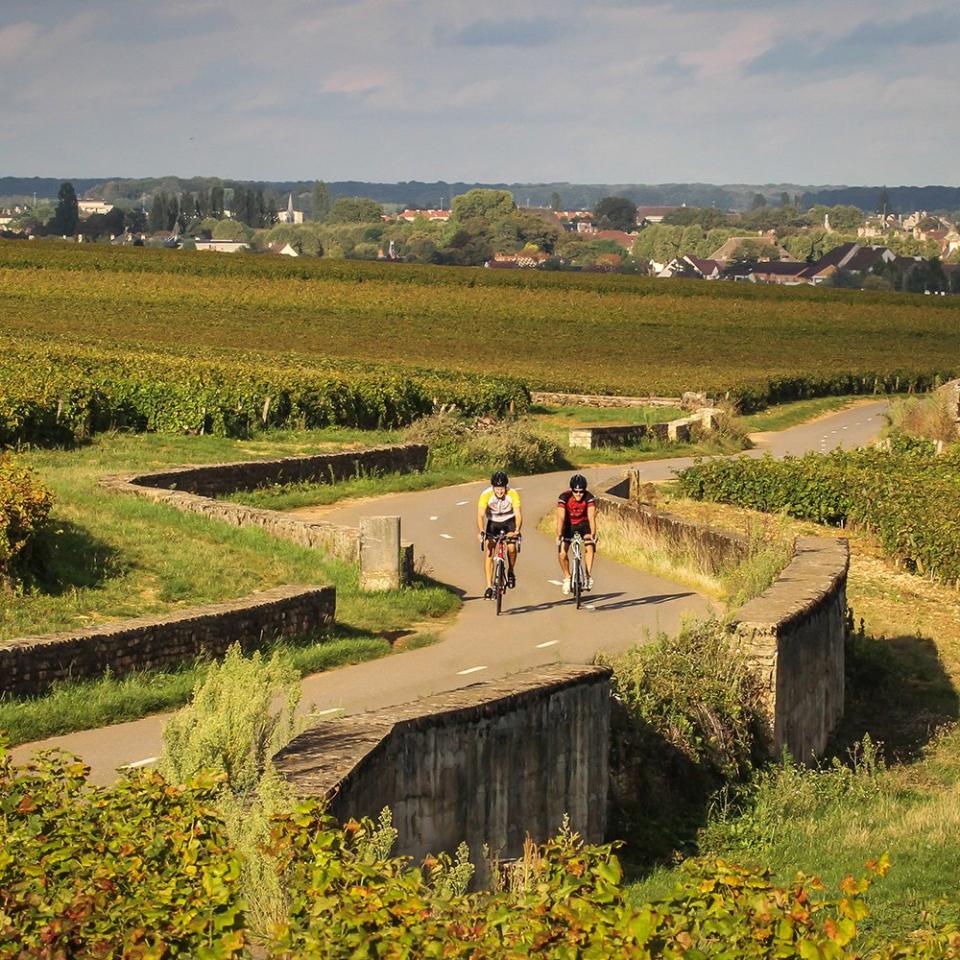 Burgundy Bike Tour, France
