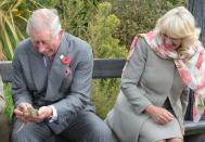 ... während Camilla gleich ganz auf Abstand ging, während ihr Ehemann Prinz Charles, es scheinbar ganz amüsant fand, die Brückenechse in Händen zu halten. (Bild: Gerard O'Brien - Pool/Getty Images)