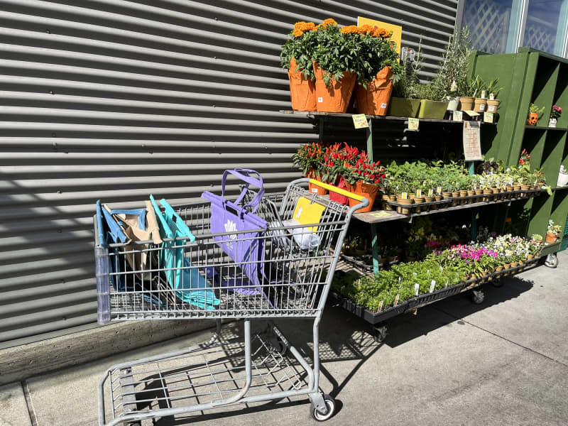 empty Lotus Trolley Bags in cart outside store