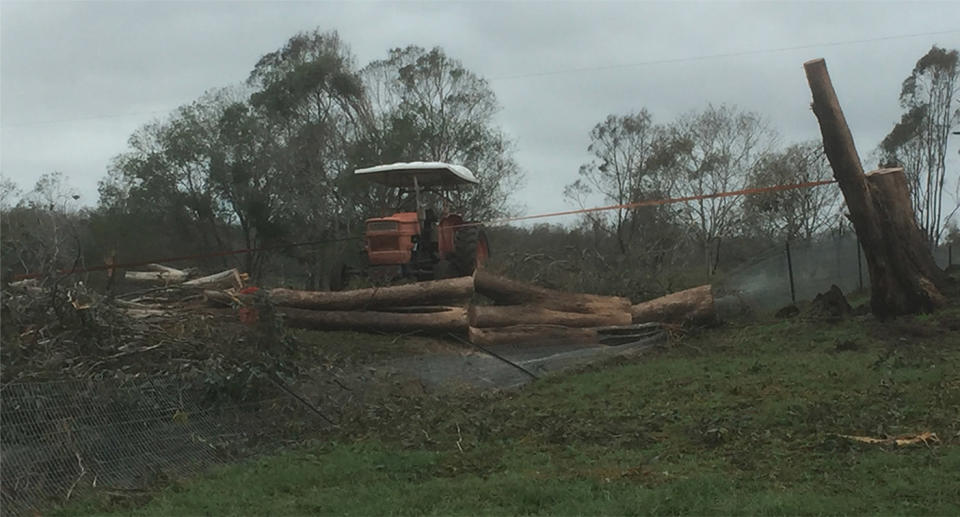 It took two vehicles to pull the tree log off Connor’s unconscious body on his grandfather’s property. Source: RACQ LifeFlight