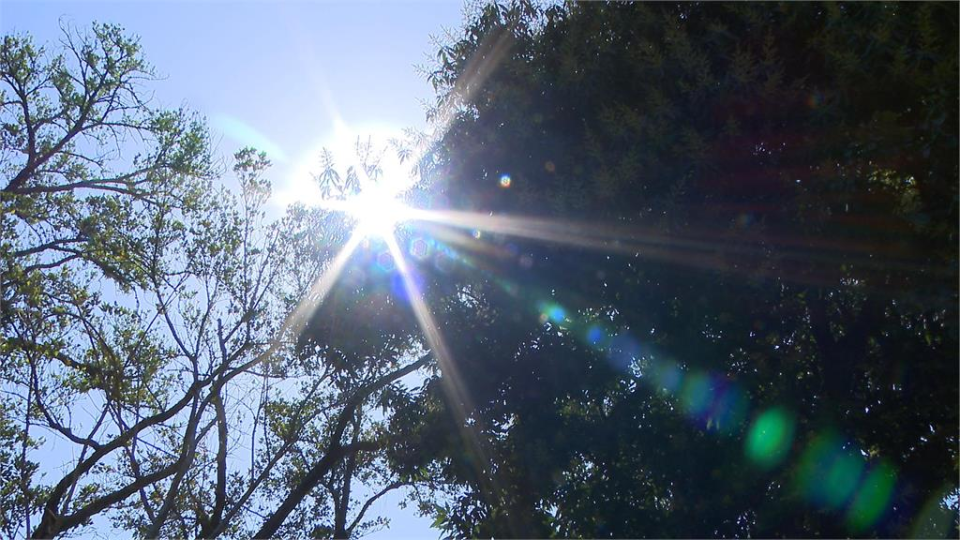 各地日夜溫差極大　林嘉愷曝「這天起」開始變天：2地區降雨增加