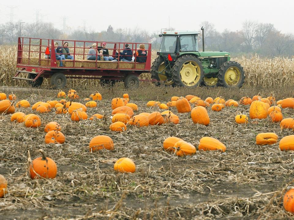 A hay ride through a pumpkin patch