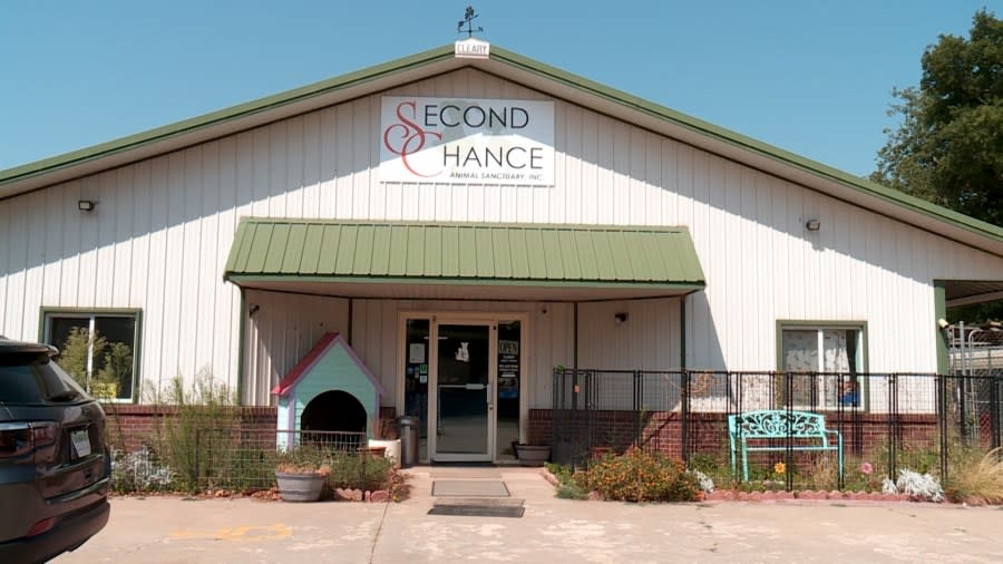 Second Chance Animal Shelter. Image KFOR.