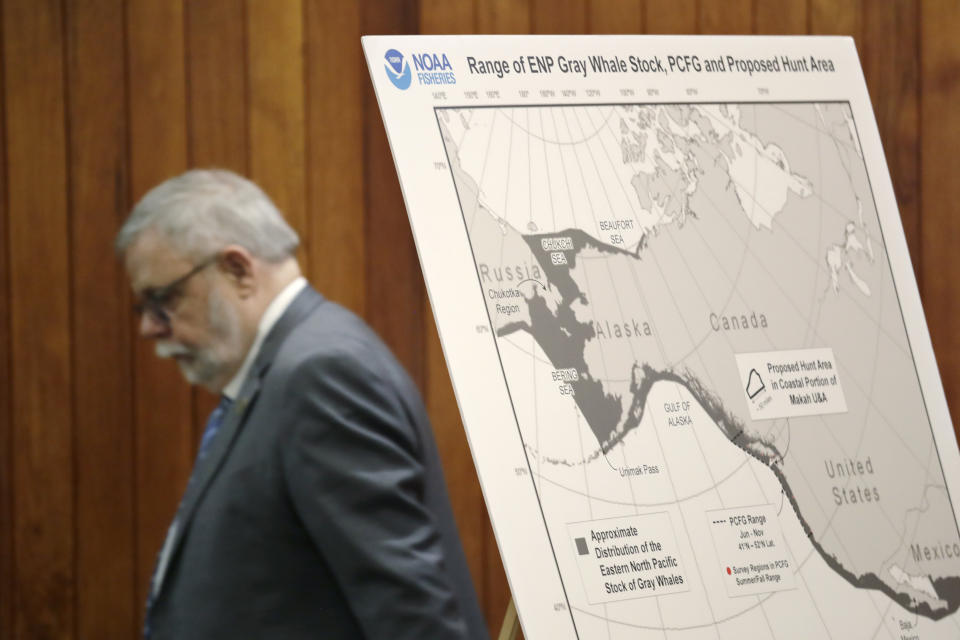 CORRECTS DATE OF RULING - FILE - In this Nov. 14, 2019, file photo, Federal Administrative Law Judge George Jordan steps past a display before a hearing in Seattle, to help determine whether a small American Indian tribe can once again hunt whales. The Makah Tribe, from the northwest corner of Washington state, conducted its last legal hunt in 1999. On Thursday, Sept. 23, 2021, Jordan recommended that the Makah be allowed to resume whaling along the coast of Washington state, as their ancestors did. (AP Photo/Elaine Thompson, File)