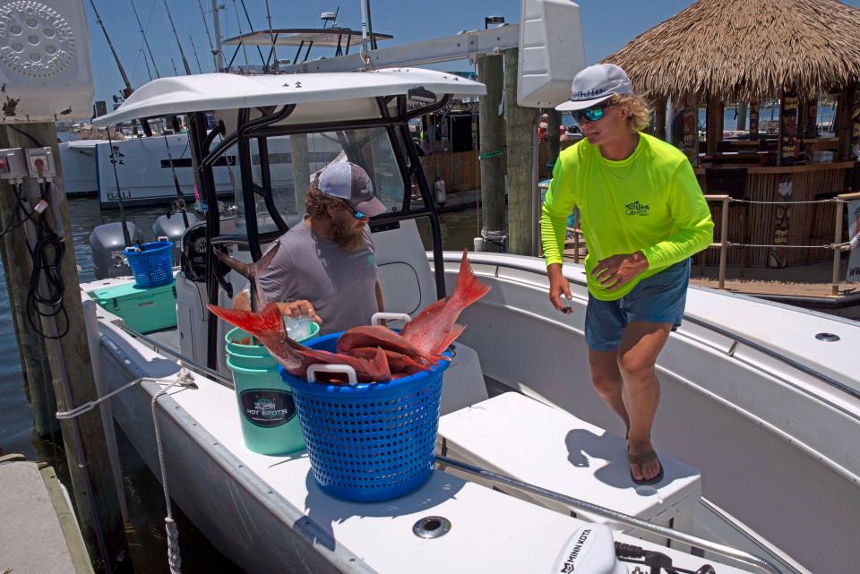 Charter boat crew Tyler Massey and Riley Riggs unload the day's red snapper catch after a successful fishing trip on Thursday, June 16, 2022. The federal red snapper season started June 4, but the state season starts June 17.