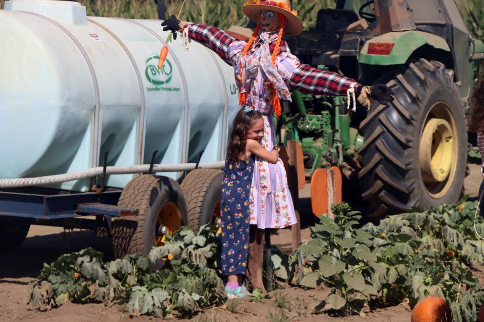 From corn mazes to pumpkin patches, to hay and train rides, Vossler Farms has something for everyone.