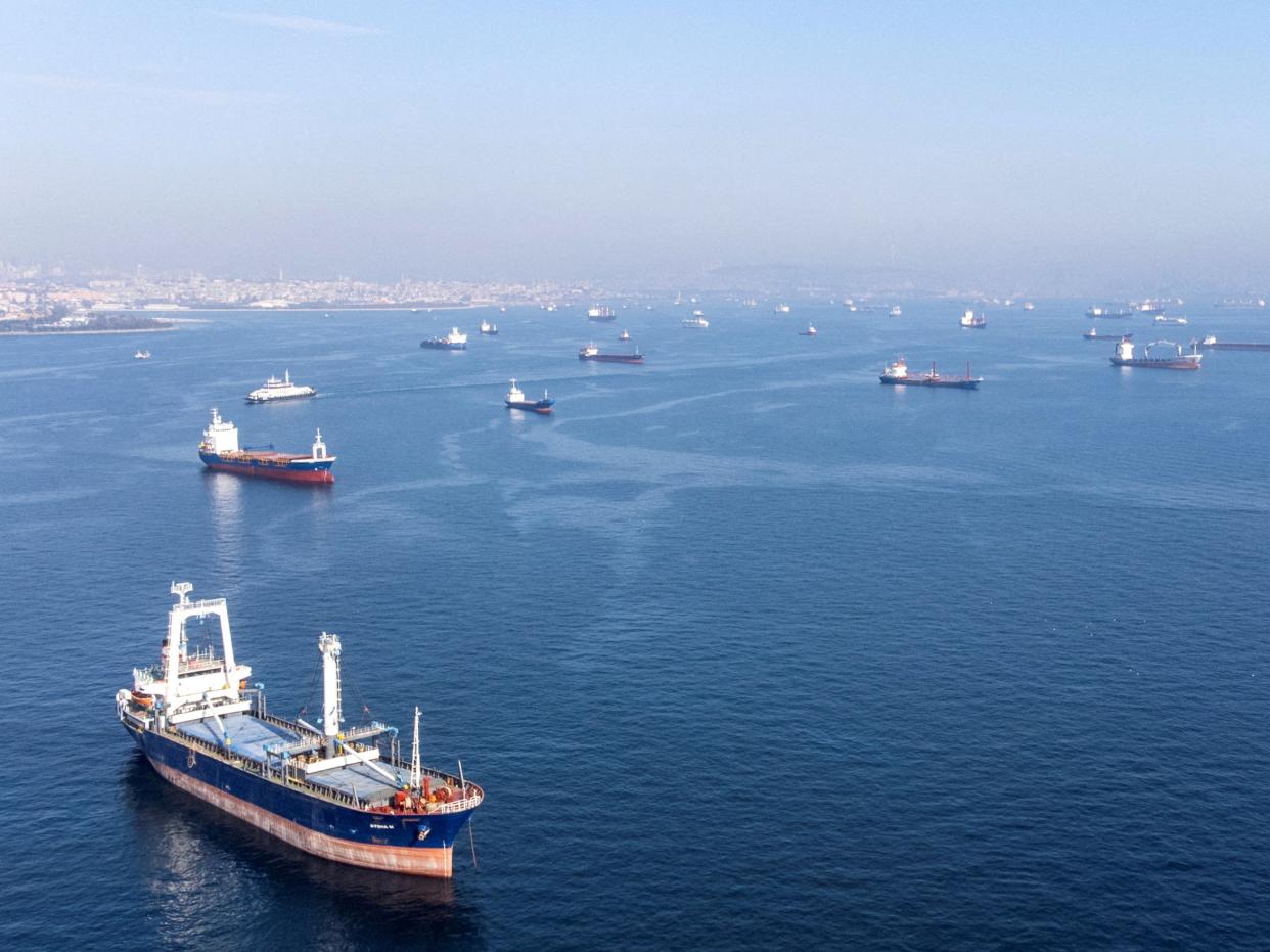 File photo: Commercial vessels including vessels which are part of Black Sea grain deal wait to pass the Bosphorus strait last October (Reuters)