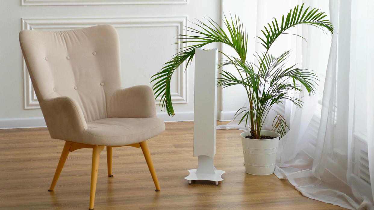  An air purifier next to a houseplant and a chair on a hardwood floor 