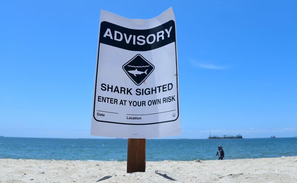 Warning signs for shark sightings