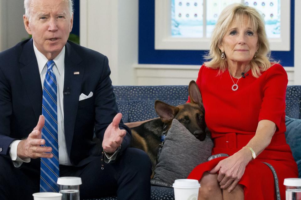 US President Joe Biden and First Lady Jill Biden sit with their dog Commander