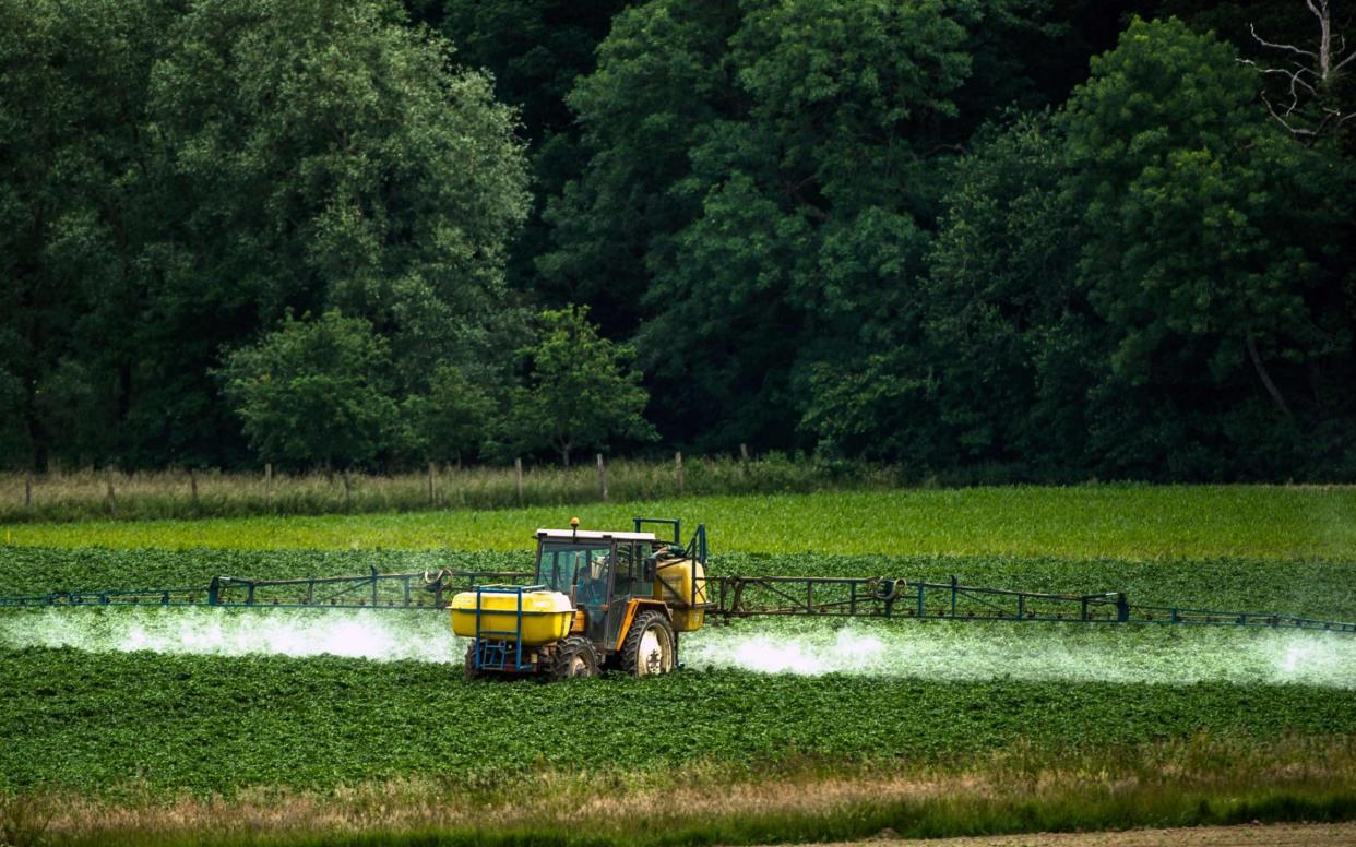 British consumers are being exposed to “toxic cocktail” of pesticides, scientists have warned - AFP