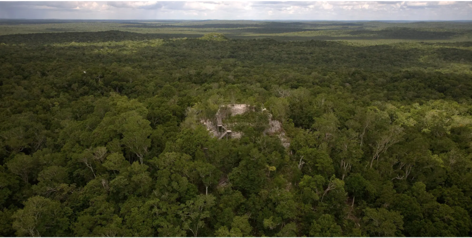 Blick auf einen Maya-Tempel in der archäologischen Stätte el Mirador im Peten-Dschungel, Guatemala, 24. August 2009. - Copyright: Reuters/Daniel Leclair