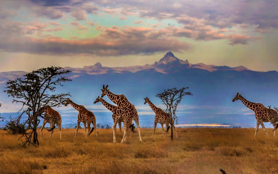 mount kenya - Manoj Shah/Getty