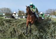 Grand National Festival