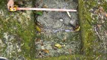 In this March 1, 2011 photo released by the Philippine National Museum, a Filipino archeologist measures the dimensions of a limestone coffin at Mount Kamhantik, near Mulanay town in Quezon province, eastern Philippines. Archeologists have unearthed remnants of what they believe is a 1,000-year-old village on the jungle-covered mountaintop in the Philippines with limestone coffins of a type never before found in this Southeast Asian nation, officials said, Thursday, Sept. 20, 2012. (AP Photo/Philippine National Museum) EDITORIAL USE ONLY, NO SALES