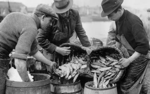 30th October 1939: Barrelling herring from the North Sea at an East Anglian port. (Photo by Harry Todd/Fox Photos/Getty Images) - Credit: Harry Todd/HULTON ARCHIVE