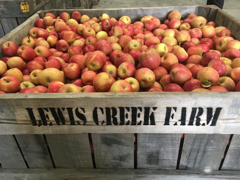 Noble Cider and Lewis Creek Farm collaborated to grow an orchard of apples specific for making hard cider.