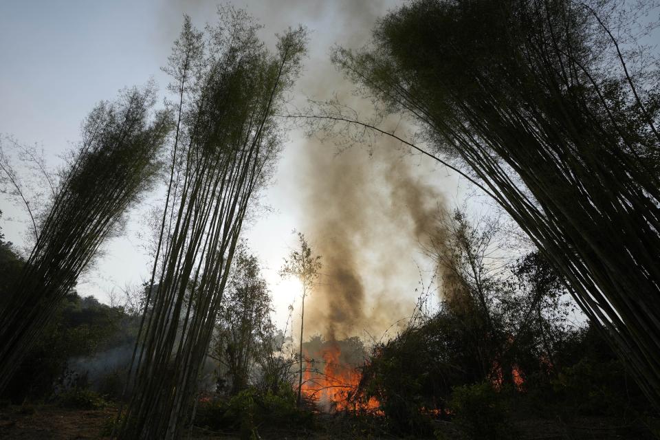 A fire set by members of the Pakanyo tribe in protected forest land at Chiang Mai province, Thailand, Monday, April 22, 2024. The Pakanyo, who have carried out the practice of controlled burns as long as they have lived in these hills near Chiang Mai, a top tourist destination, say they get blamed by city dwellers for fouling the air and damaging forest land. (AP Photo/Sakchai Lalit)