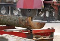 In this Wednesday, Aug. 15, 2012 photo, a large saw to cuts a discarded tree trunk into railroad ties at Citilog in Newark, N.J. The Newark company takes unwanted trees from the so-called urban forest — parks, yards, streets and wherever else a tree might grow in a city — and turns them into furniture, flooring and other materials. (AP Photo/Mel Evans)