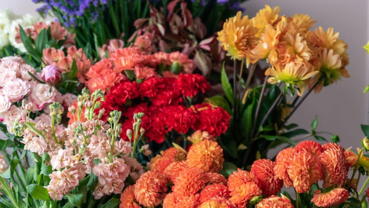 beautiful flowers at the florist shop