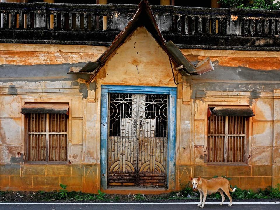 A dog stands in front of the exterior of a dilapidated mansion in Tamil Nadu in 2021.