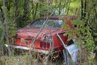 <p>We counted well over a dozen Mustangs at Ron’s Auto Salvage, including this 1969 example. Ford’s iconic pony car packed on some heft that year, <strong>stretching by 3.8in and widening by 0.5in.</strong> From the overgrown trees framing it, it seems this one has been rooted in the same spot for several years.</p>
