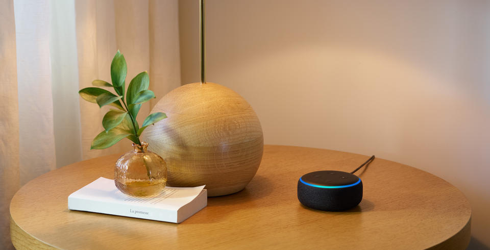 Echo Dot on a table next to a lamp and a small vase with a plant in it sitting on a book