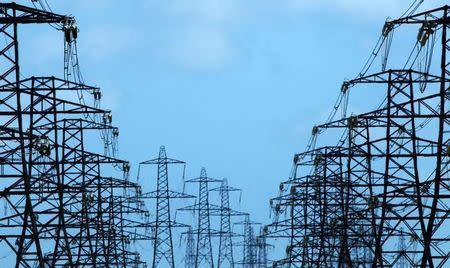 Power lines and pylons stretch out from Dungeness nuclear power station in south east England August 24, 2010. REUTERS/Luke MacGregor