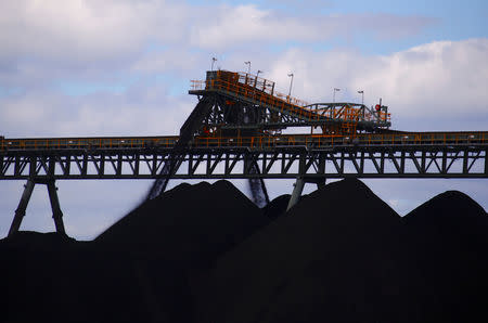 FILE PHOTO: Coal is unloaded onto large piles at the Ulan Coal mines near the central New South Wales rural town of Mudgee in Australia, March 8, 2018. REUTERS/David Gray