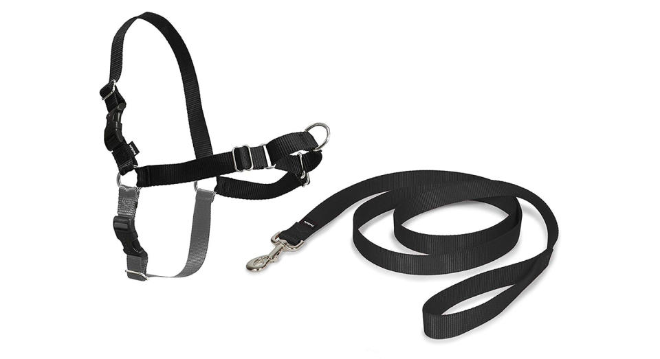 PetSafe Easy Walk Harness for Dogs, all-sizes, 1.8 m Lead: Was £12.97, now £7.49