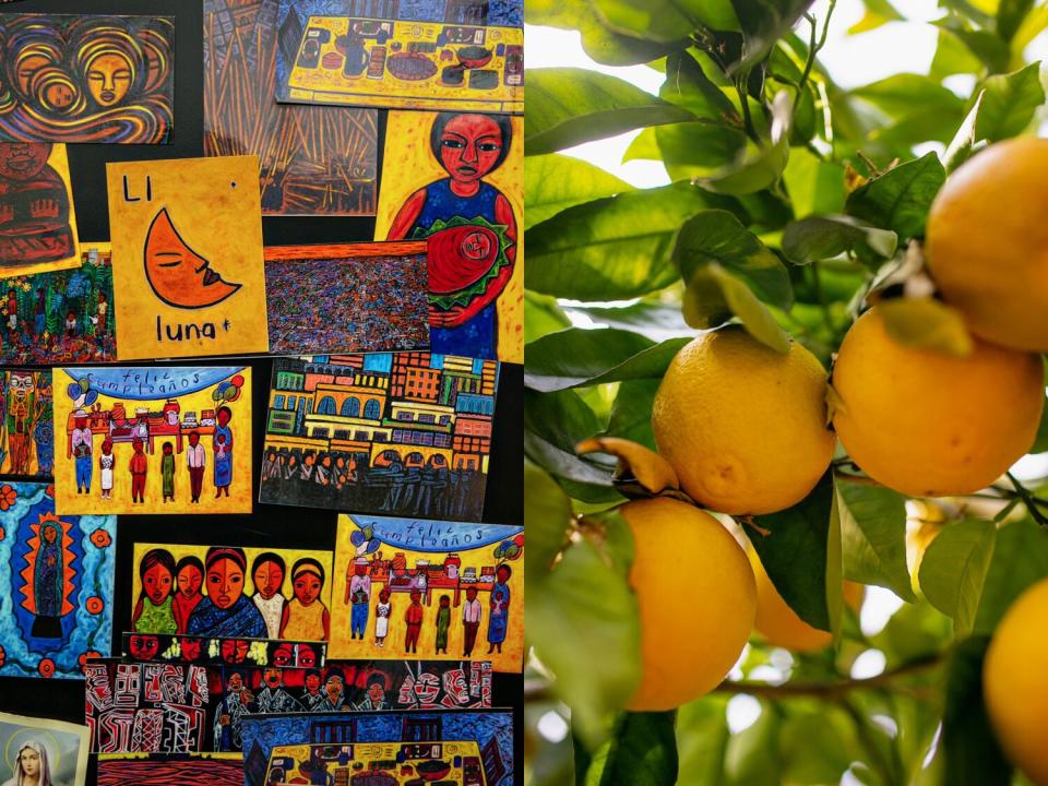 Two images, side by side, of colorful painted artwork and oranges hanging on a branch.