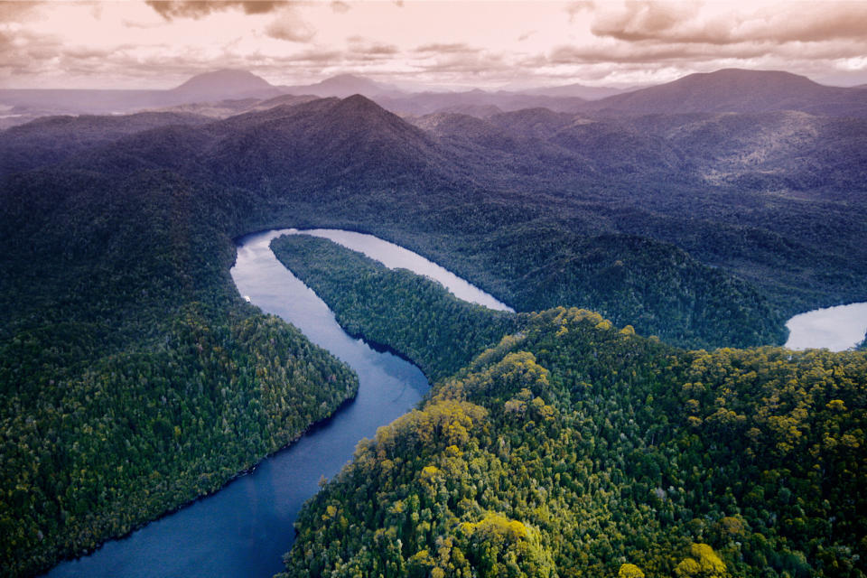 a lake snaking through lush trees