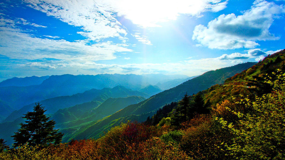 These two sites <a href="http://whc.unesco.org/en/list/1509" target="_blank">protect ancient forests</a> in central-eastern China and is home to some of the country's rarest animal species, including the&nbsp;Chinese Giant Salamander, the Golden or Snub-nosed Monkey, the Clouded Leopard&nbsp;and the&nbsp;Asian Black bear.