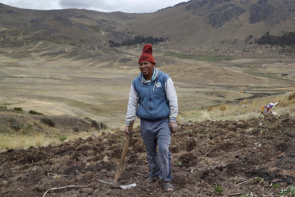 Farmer Ciriaco Huaman holds a pickaxe while standing in his potato field during harvest, in Pisac, southern rural Peru, Friday, Oct. 30, 2020. Farmers like Huaman are responsible for the food that lands on 70% of Peruvian dinner tables, officials say, but months of pandemic lockdown and a souring economy have left many bankrupt and questioning whether to plant again. (AP Photo/Martin Mejia)