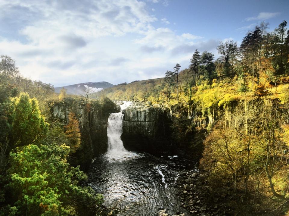 A slice of ‘jungle’ in nothern England (Getty Images)