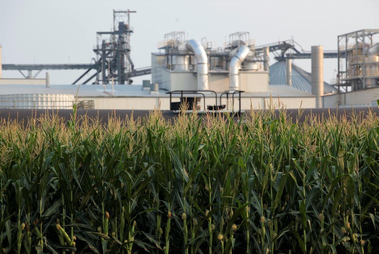 <span class="caption">An ethanol refinery in Chancellor, South Dakota.</span> <span class="attribution"><a class="link " href="https://newsroom.ap.org/detail/CarbonCapturePipelines/2a36a21cb5b6468a9c796fc5d0e1d42e/photo" rel="nofollow noopener" target="_blank" data-ylk="slk:AP Photo/Stephen Groves;elm:context_link;itc:0;sec:content-canvas">AP Photo/Stephen Groves</a></span>