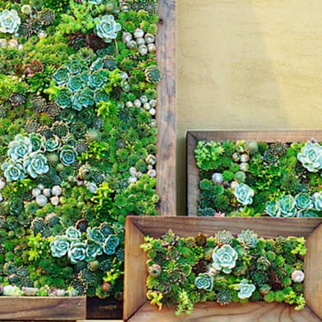 Vertical container garden