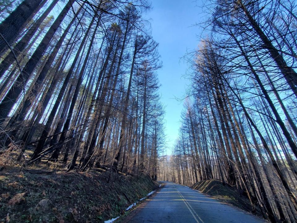 Images from Highway 224 southeast of Estacada along the Clackamas River corridor from January as crews work to try and reopen the popular recreation area.