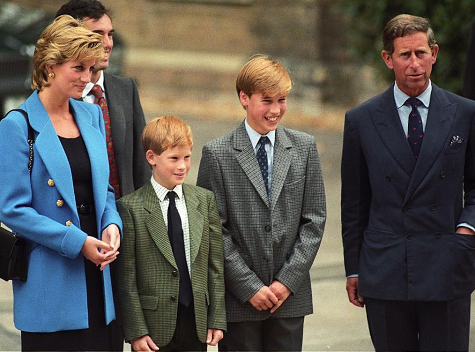 Princess Diana, Prince Harry, Prince William, Prince Charles