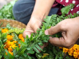 萬壽菊與羊齒蕨交叉編織，形成天然的頭飾。 | Mexican marigold intertwined fern to form a natural headdress (Courtesy of Xin Media)