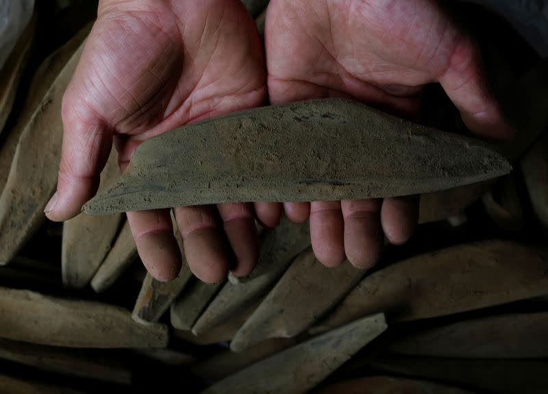 The Wider Image: Fatty 'katsuo' fish may foreshadow climate change, threat to Japan's sushi