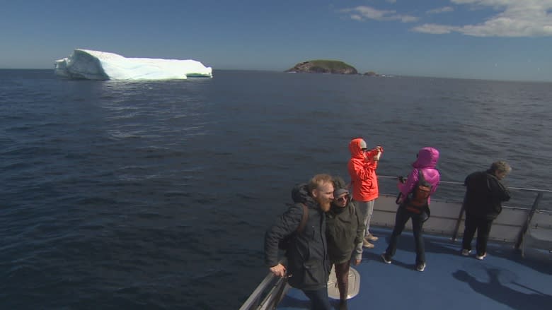 'It couldn't be a better day': Whales, icebergs delight tourists who brave the N.L. cold