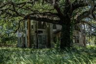 <p>A giant tree shades a decaying country house. </p><p>Photo: Flickr/<a href="https://www.flickr.com/photos/141333312@N03/27946756548/in/photolist-Jzyr59-eV4KEo-dB4pKa-4UTnXk-fLjmcB-6YbsvZ-6w3ovX-JGHYBV-n1evk4-dDrq9T-6p9Hf7-4aVuoV-ey6pHH-GZHrsZ-d9rhho-iErwm3-2kb3sg-a4FijR-e6h1g2-9BBKKV-aEvKAN-qns1q2-nJ3yLw-cA19zE-GXH2C-FKotmj-b5vPQH-5Dz86v-BhXFea-aLmjRZ-9edzv2-9vxLTt-o3m6yt-gs7g2w-7eZx6D-9drz7r-6uByHA-pYBZPa-pcibTN-3HX6zT-hjWWxr-P1DbDH-pFZnkJ-dw3Jpk-a96Qsw-kxpsux-6zV9Co-a6UbSg-eYsQ7A-pjSFsE" rel="nofollow noopener" target="_blank" data-ylk="slk:Trevor Marron;elm:context_link;itc:0;sec:content-canvas" class="link ">Trevor Marron</a></p>