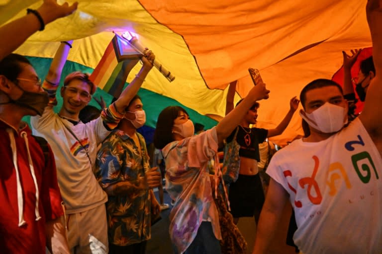 Thailand would become the first country in Southeast Asia to legalise same-sex marriage should the law pass the senate and receive the king's signature (Lillian SUWANRUMPHA)